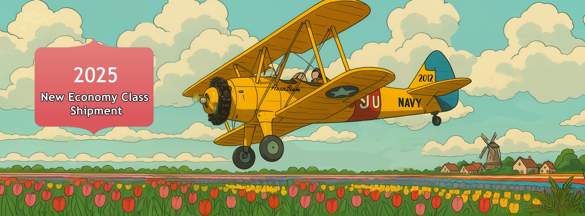 Economy shipping Economy shipping